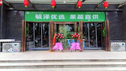 健康养生菜--圆生菜的营养价值及食用方法