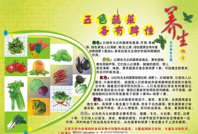 五色蔬菜各有脾性,天天渔港 绿色 健康 养生 矢量-