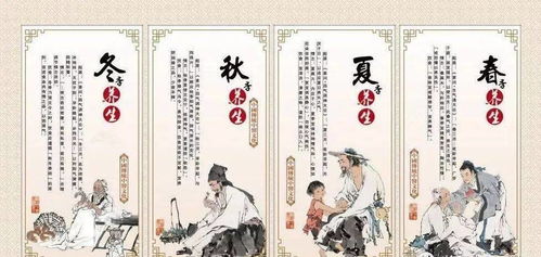 中国公民中医养生保健素养 健康养生的传统智慧与现代实践