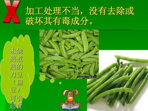 健康养身与食品安全知识 构筑健康生活的基石