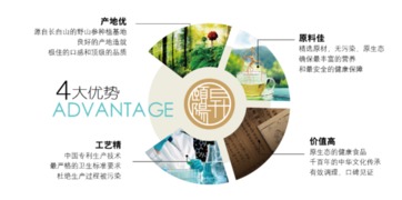 中国人参 从大地到星辰的健康之路